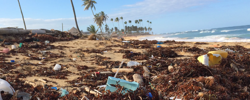 Tag Trash for Policy Change #trashtag Tag Trash for Policy Change #trashtag